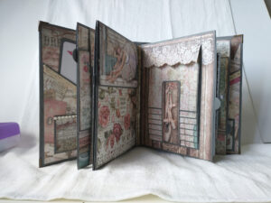 Orchids & Cats Photo Album